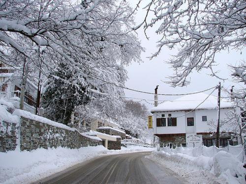 Elvira'S Houses Agriá Kültér fotó